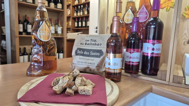 Centro de Interpretação Científico-ambiental - CICA gm