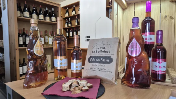 Centro de Interpretação Científico-ambiental - CICA gm