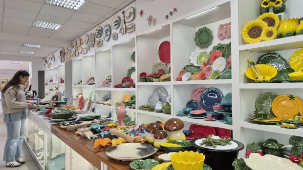 Centro de Interpretação Científico-ambiental - CICA gm